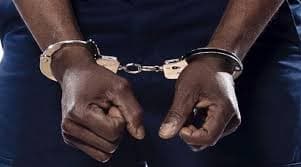 Ten Land Guards Caught in Fake Immigration Uniforms Drop a Name: 'Hon Mustapha Gave Them to Us'