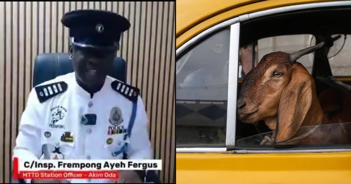 Transporting Meat, Fish or Livestock in a Taxi Is Illegal — Akim Oda MTTD Officer Issues Strong Warning to the Public