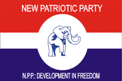 NPP Ashanti Elections: 34 Aspirants Battle for 11 Executive Positions