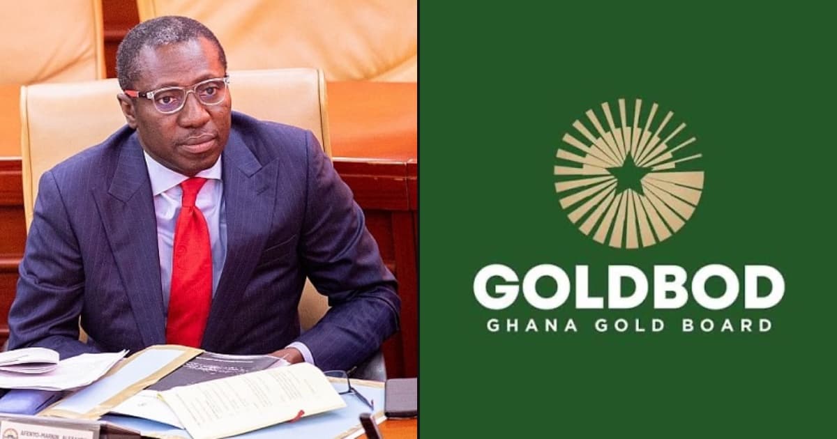 "GoldBod Is Incurring Heavy Losses" — Afenyo-Markin Questions Government's Economic Record