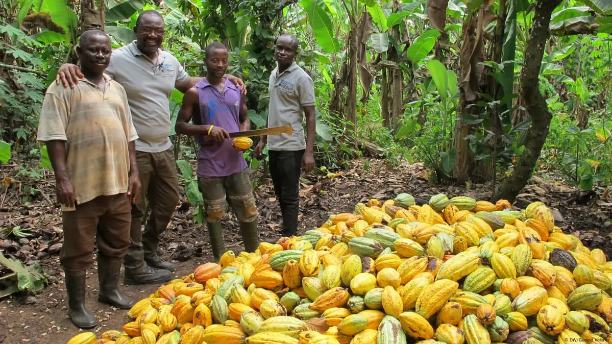 Cocoa Farmers Kick Against Parts of New Law Protecting Cocoa Lands
